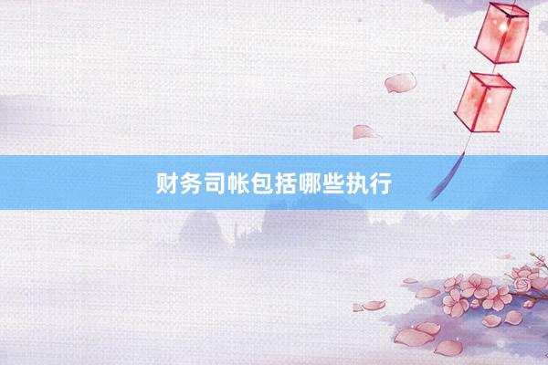 财务司帐包括哪些执行