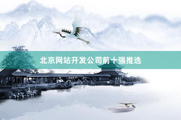 北京网站开发公司前十强推选