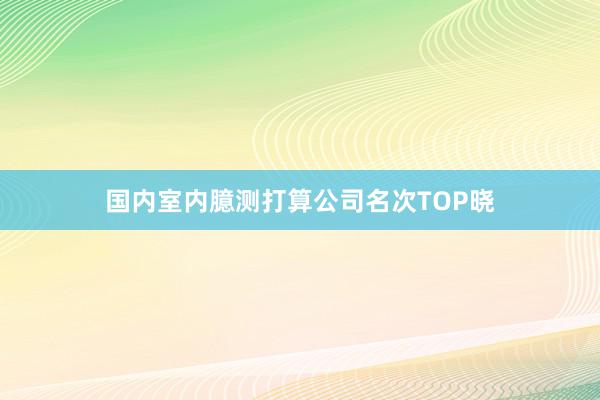 国内室内臆测打算公司名次TOP晓