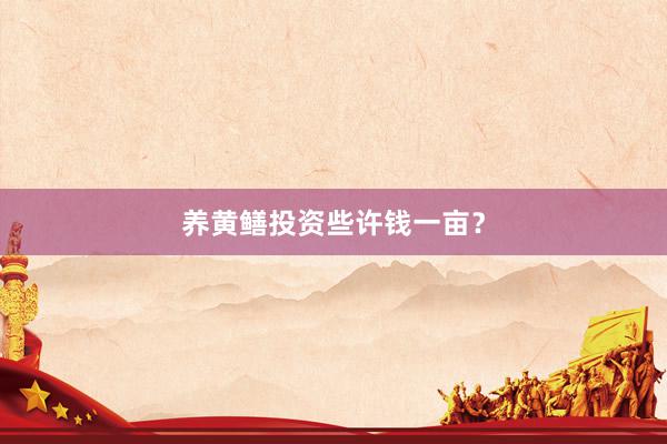养黄鳝投资些许钱一亩？